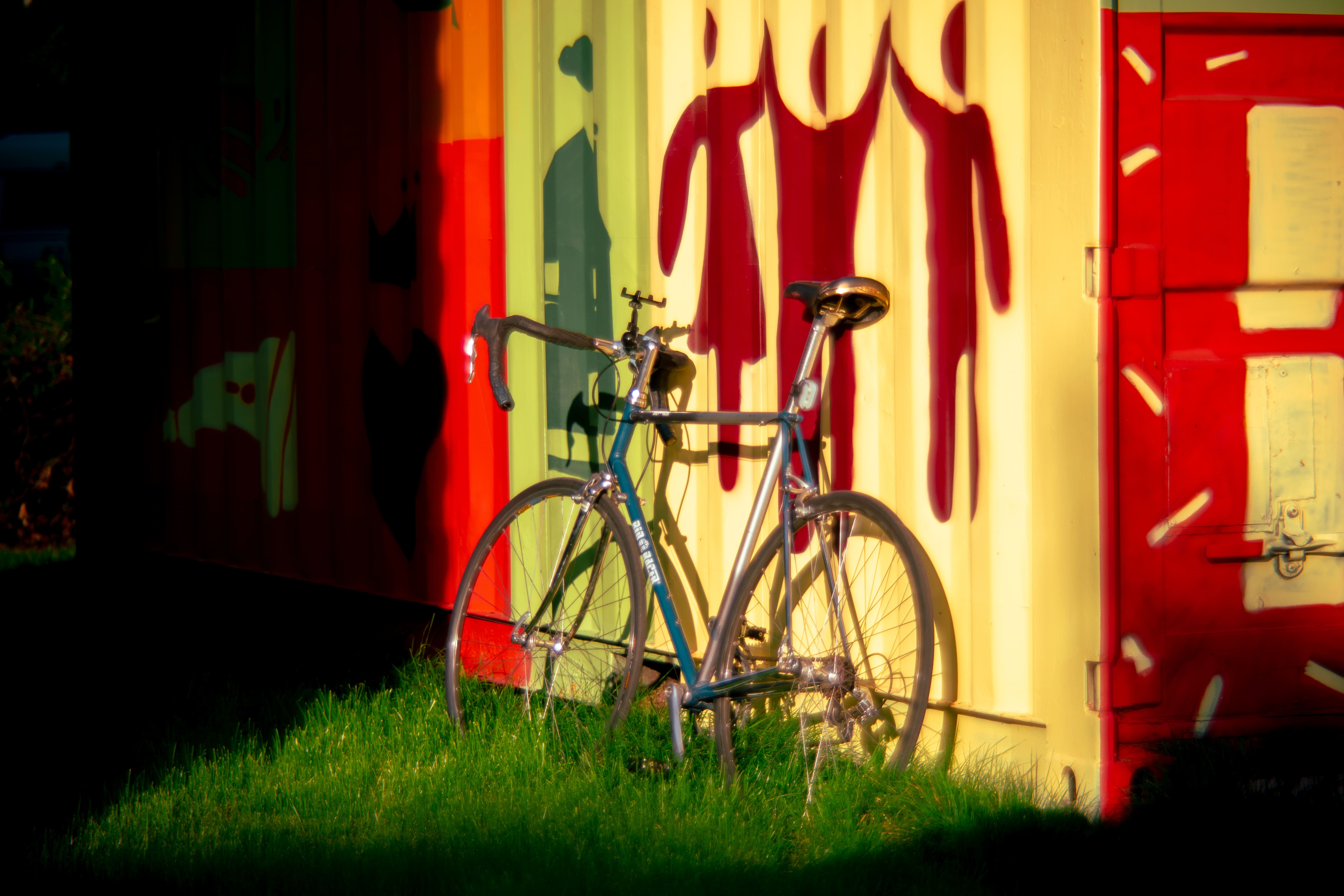 Bicycle 12